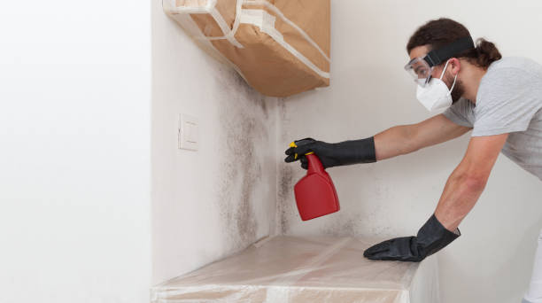 Professional Crawl Space Mold Remediation technician working in Onemo, VA