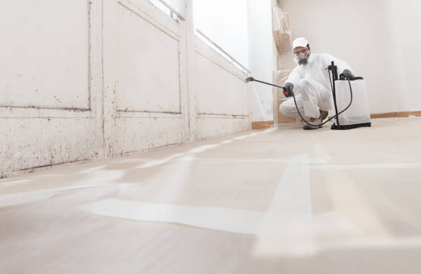 24/7 Emergency Crawl Space Mold Remediation experts in Onemo, VA